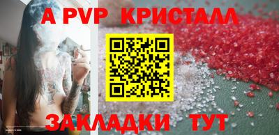 тгк Новозыбков