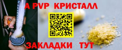 тгк Новозыбков
