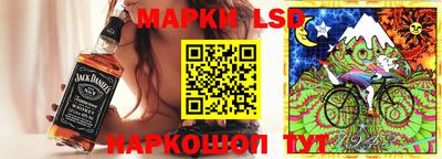 тгк Новозыбков