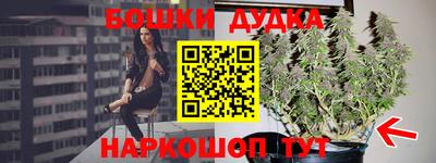 тгк Новозыбков