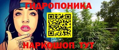 2c-b Новодвинск
