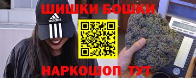 тгк Новозыбков