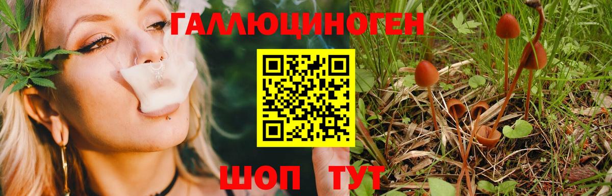 Соликамск  Псилоцибиновые грибы MAGIC MUSHROOMS  Вход с VPN 
